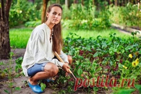 Как убрать горечь из огурцов / Домоседы