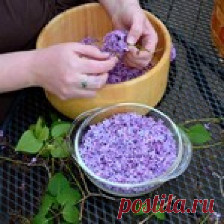Масло из цветков сирени. Как приготовить