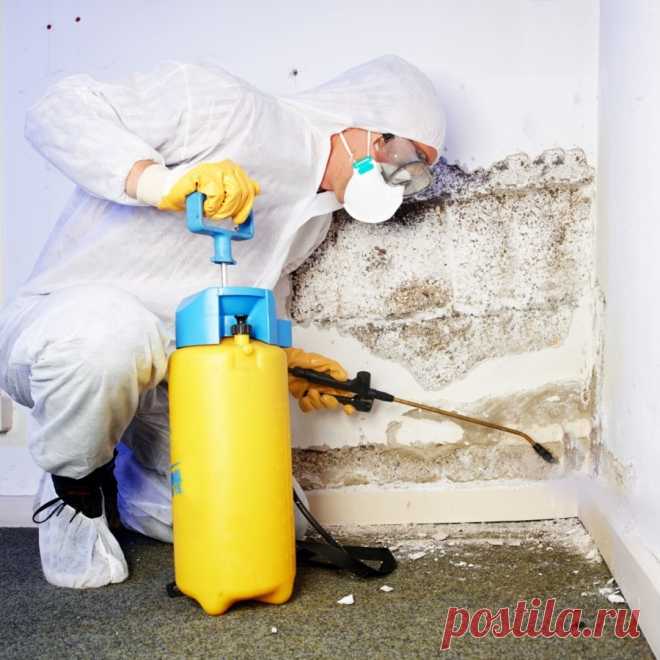 🧼 Клининговые услуги по уборке квартир, офисов, технических помещений
🔟 Большой опыт работ 🙇 Ответственность за порчу 💝 Приятные цены
🌍 Работаем по всей Москве и Московской области 📞 +7(969)022-34-60