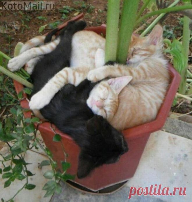 Хозяйка, ему ведь холодно!