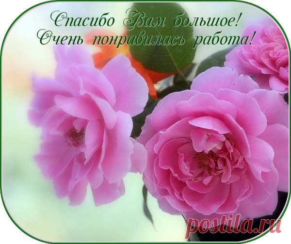 Неоклассика от «Secret Garden» – Мировые Сокровища Культуры, пользователь Ольга * | Группы Мой Мир