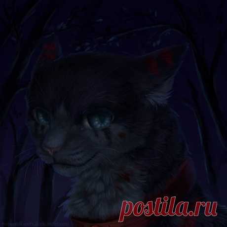 Cat-Rough. Gift by Romashik-arts on DeviantArt