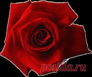 Плейкаст «Добра,тепла и счастья Вам!»