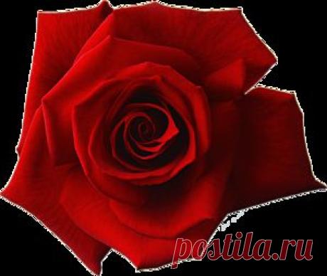 Плейкаст «Добра,тепла и счастья Вам!»