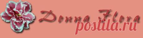 Комнатные растения :: - Выставка цветов в Краснодаре 26-27 апреля 2014 года