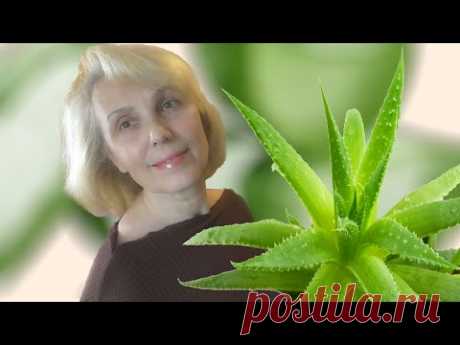 Больше ни один волос не упадет с головы! Уникальная маска с алоэ (aloe)