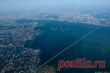 В «Лосином Острове» собираются вырубить тысячи деревьев ради новых дорог, ТЦ и ЖК – Новости Варламов.ру