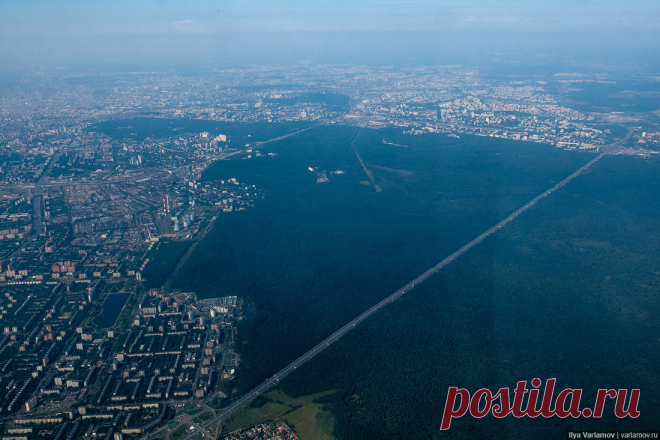 В «Лосином Острове» собираются вырубить тысячи деревьев ради новых дорог, ТЦ и ЖК – Новости Варламов.ру