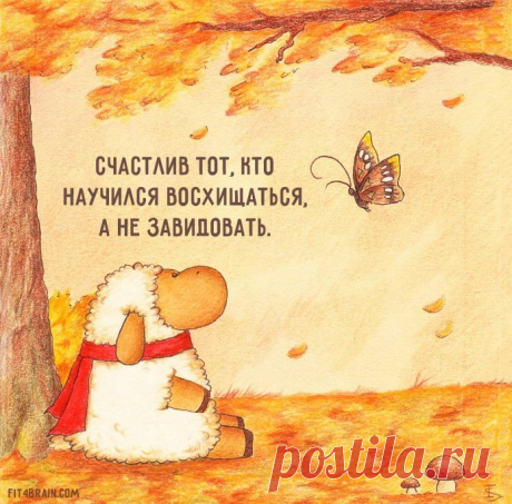 Фитнес для мозга