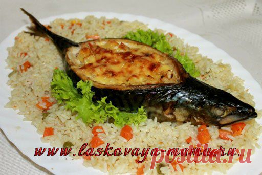 Фаршированная скумбрия