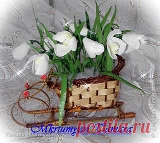 Юлия Фоамиран