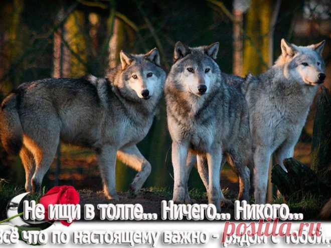 Одноклассники
