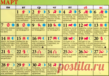 12 СЕКРЕТОВ ИДЕАЛЬНОЙ РАССАДЫ.