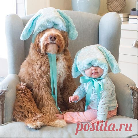 Дети и животные на фотографиях – редкие снимки, способные затронуть душу