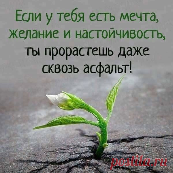 Яндекс Картинки: поиск похожих изображений