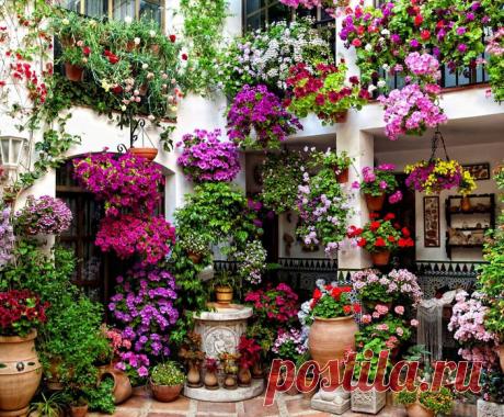 patios cordobeses interiores bonitos - Buscar con Google