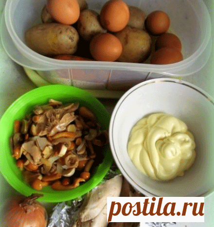 Салат ‘Мечта грибника’