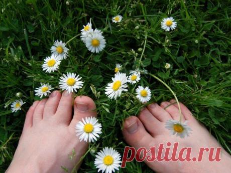 Как отмыть руки и ноги после дачи? | Wclub.ru