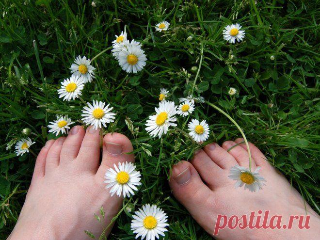 Как отмыть руки и ноги после дачи? | Wclub.ru