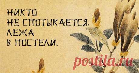 50 японских пословиц, которые острее лезвия ножа