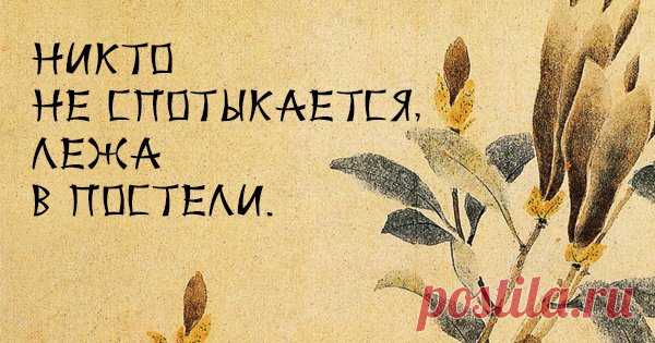 50 японских пословиц, которые острее лезвия ножа