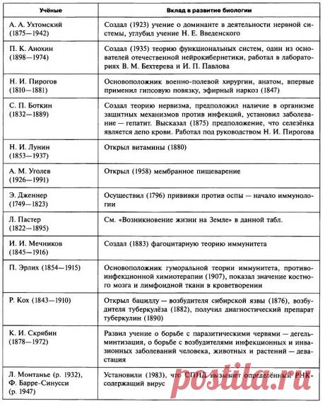 ScFRXzZ8jWQ.jpg (760×948)