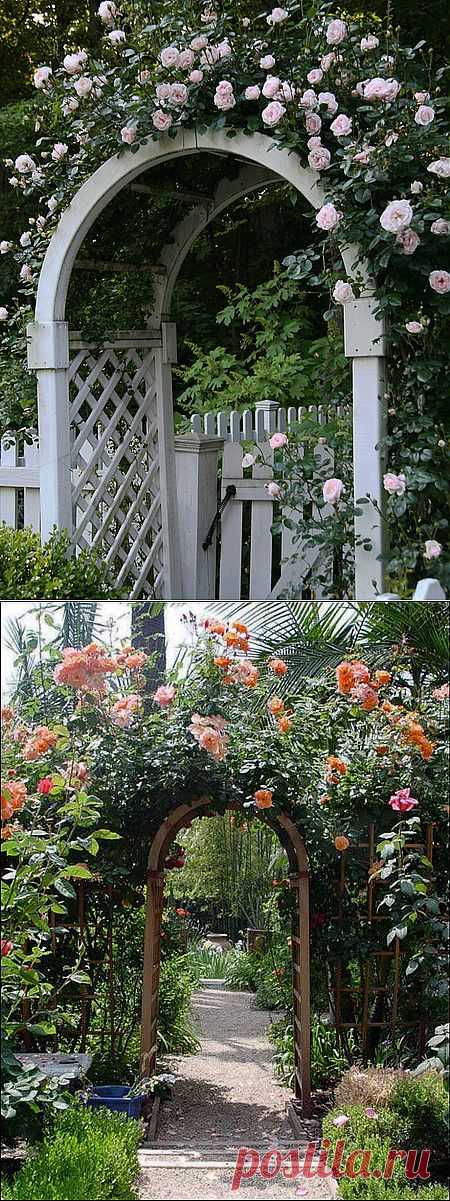 21 идея для прохладного сада (арки оплетенные цветами).