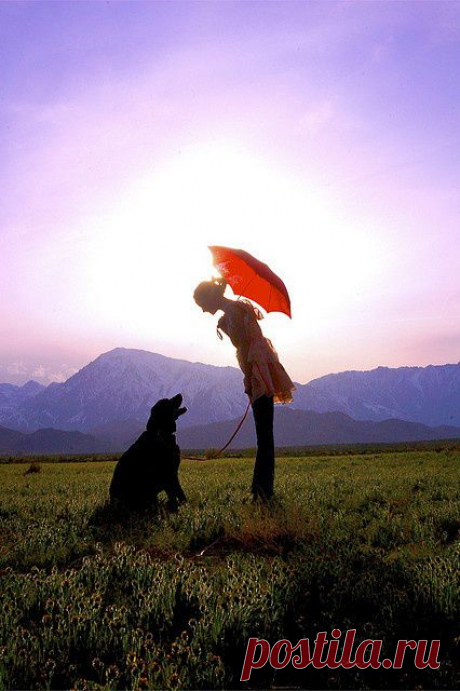 Найдено на сайте flickr.com.