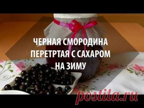 Черная смородина перетертая с сахаром на зиму
