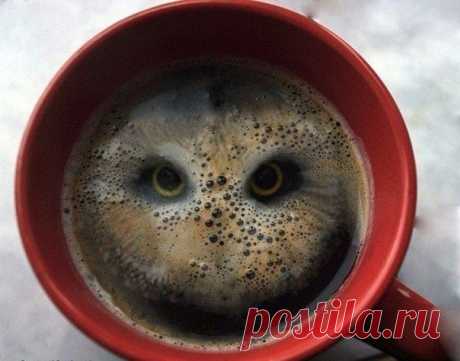 Если бросить в кофе 2 колечка картофельного снека. / Взлом логики