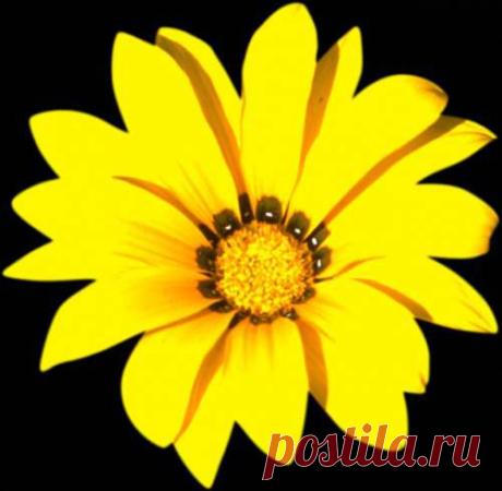 cvetu 08 - Фотоальбомы - Мензурка