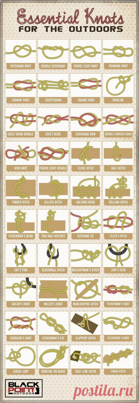 These knots, all 40 of them, will add a lot to your knowledge rank. All outdoorsmen should know these. | Travel