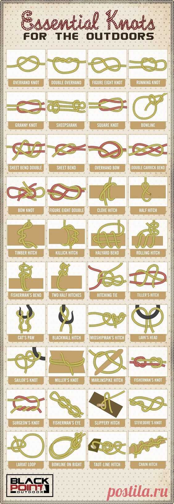 These knots, all 40 of them, will add a lot to your knowledge rank. All outdoorsmen should know these. | Travel