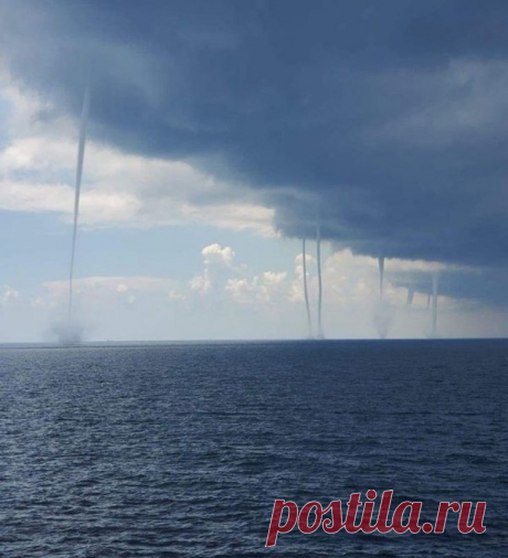 Когда снимок сделали в нужный момент Как ни крути, самые классные фотографии получаются внезапно. Безусловно, талантливый фотограф может сделать потрясающий кадр, но благодаря удаче, любой человек может снять «шедевр» абсолютно случайно. Главное просто оказаться в нужном месте, в нужное время и желательно с камерой в руках.