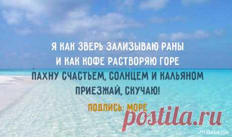 Открытка дня – Фитнес для мозга