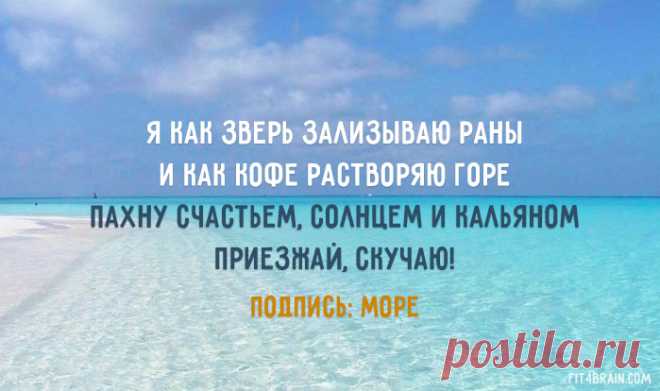 Открытка дня – Фитнес для мозга