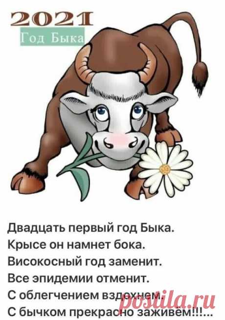 i (580×822)