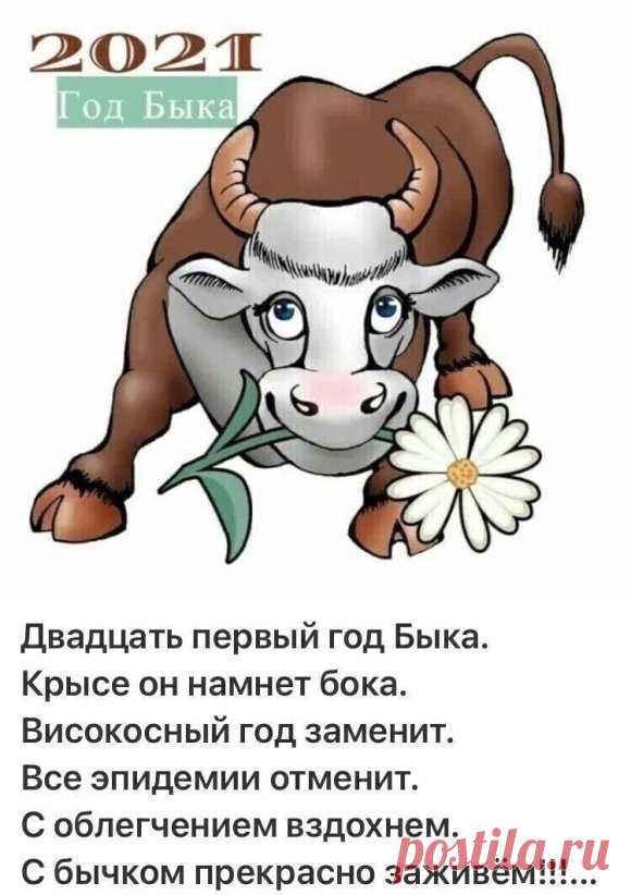 i (580×822)