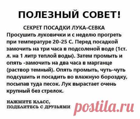 СЕКРЕТЫ ВЫРАЩИВАНИЯ ЛУКА

‣ Перед посадкой: 1 ст.ложка соли на 1 литр воды залить на 3 часа.
‣ После соли: темный раствор марганцовки на 2 часа. Обязательно промыть.
‣ От луковой мухи: 1. Появился первый листочек 1) Проливаем водой. 2) Полив 2 ст.ложки нашатырный спирт на ведро воды (3 лейки на 6п.м.грядки) 3) Проливаем водой. 2. Через 10-14 дней. По той же схеме полив 1ст.ложка соли на 1 литр воды 3. Через 10 дней. По той же схеме полив крепким р-ром марганцовки.
‣ Подкор...