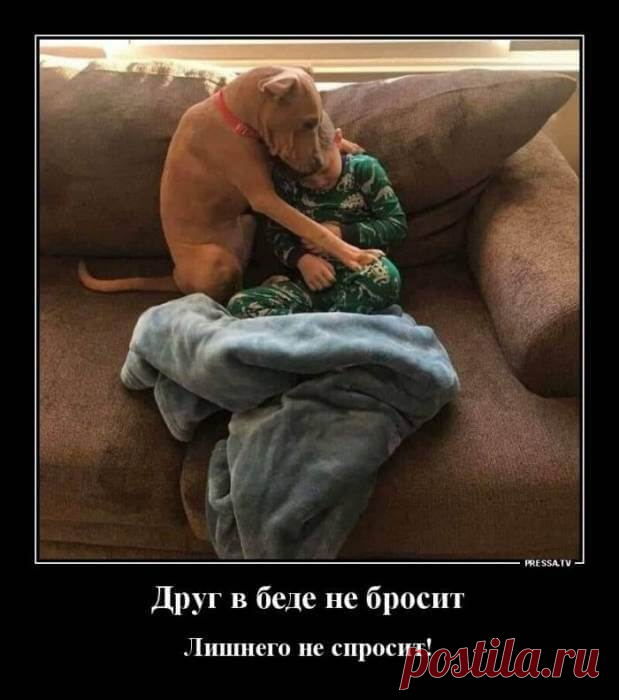 Новые весёлые картинки