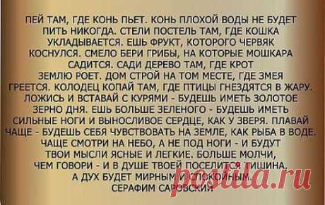 ПРИКОЛЫ