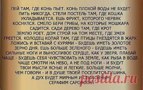 ПРИКОЛЫ