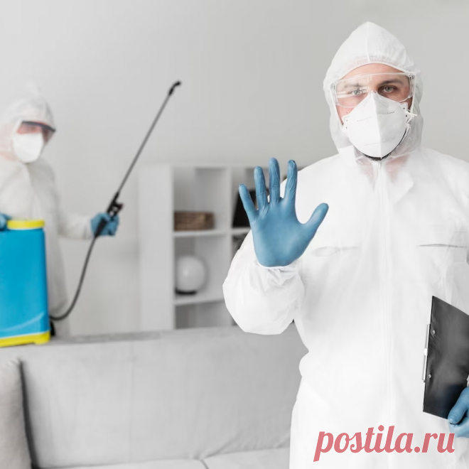 🪰 Профессиональные услуги городской санитарной службы под ключ
🧐 Большой опыт 🤩 Индивидуальный подход 💖 Приятные цены
🌍 Работаем круглосуточно, в 30 городах России 📞 +7(804)700-09-30