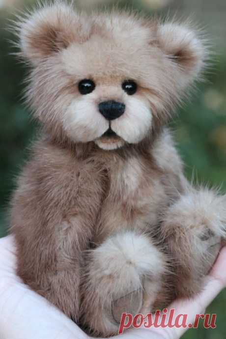 Пушистый симпатяга.
