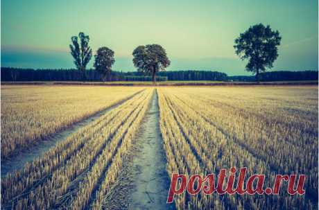 Стивен Фрай. 10 мыслей о любви, депрессии и смысле жизни