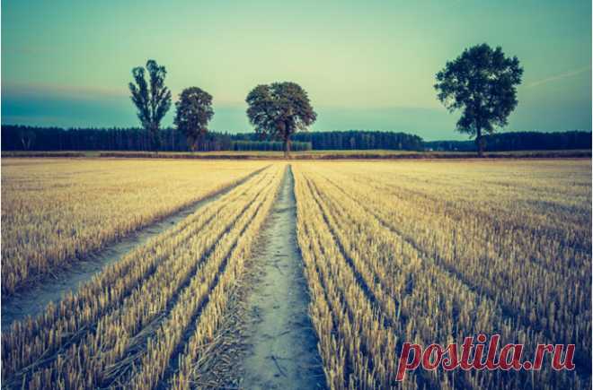 Стивен Фрай. 10 мыслей о любви, депрессии и смысле жизни