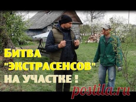 Первый хлеб из печи и "битва экстрасенсов" на участке!