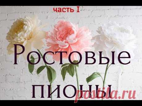 ГИГАНТСКИЕ ростовые цветы. Пион (часть I)