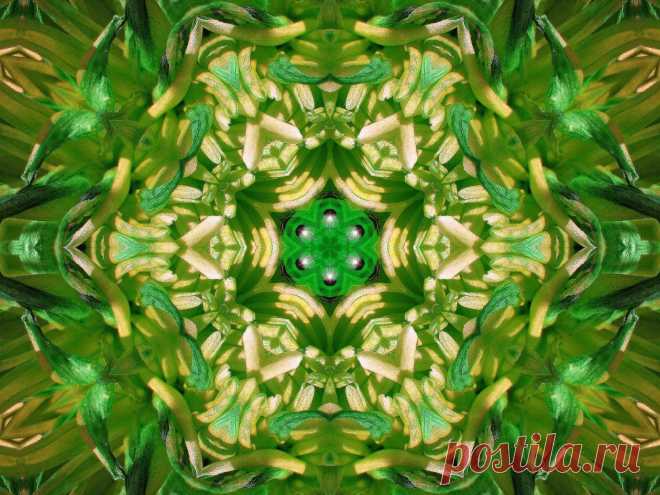 Green Digital Ornament  Free Stock Photo HD - Public Domain Pictures