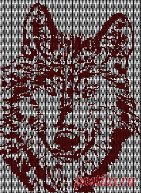 Gallery.ru / Фото #157 - Дикие животные (схемы) - Olgakam